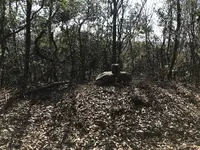 栄運寺の写真・動画_image_266253