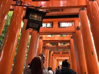 伏見稲荷大社の写真・動画_image_266407