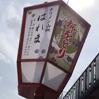 花見小路の写真・動画_image_266480