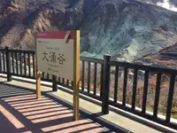 箱根ロープウェイ 大涌谷駅の写真・動画_image_266657