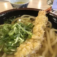 宝うどんの写真・動画_image_266709