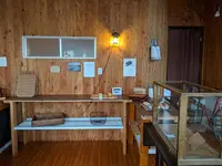 焼き菓子 ホタルの写真・動画_image_267050