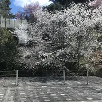 香美市立やなせたかし記念館 アンパンマンミュージアムの写真・動画_image_267137