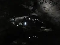 秋芳洞の写真・動画_image_267319
