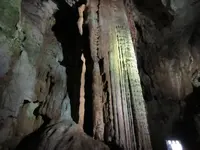 秋芳洞の写真・動画_image_267320