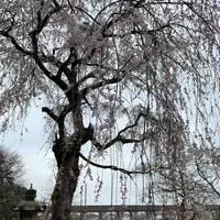 嶌頭山 徳勝寺の写真・動画_image_267675