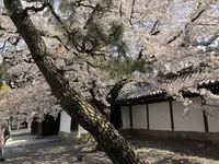 佛光寺の写真・動画_image_267737
