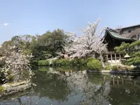 神泉苑の写真・動画_image_267751