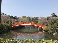 神泉苑の写真・動画_image_267752