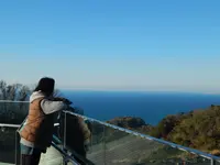日本平夢テラスの写真・動画_image_267770
