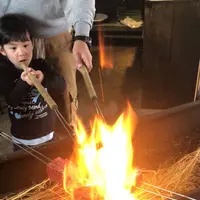 土佐たたき道場の写真・動画_image_267917