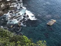 足摺岬の写真・動画_image_267923
