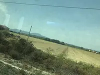 フィレンツェ・サンタ・マリア・ノヴェッラ駅の写真・動画_image_268042