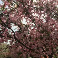 武蔵野の森公園の写真・動画_image_268074