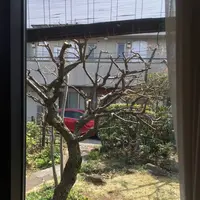 ちばいの写真・動画_image_268080