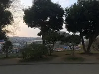 ほほえみ公園の写真・動画_image_268094