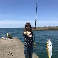 おさかな集積所”おとと”の写真・動画_image_268299