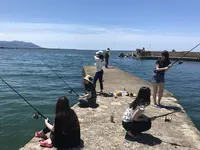 おさかな集積所”おとと”の写真・動画_image_268303