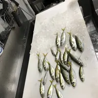 おさかな集積所”おとと”の写真・動画_image_268306