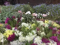 道の駅とみうら枇杷倶楽部の写真・動画_image_268404