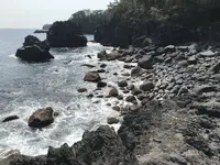 城ヶ崎海岸の写真・動画_image_268591