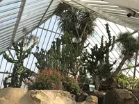 伊豆シャボテン動物公園の写真・動画_image_268645