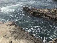 江の島の写真・動画_image_268661