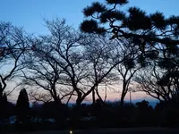 日本平ホテルの写真・動画_image_268776