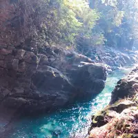 天岩戸神社の写真・動画_image_269234