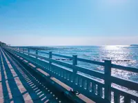 青島神社の写真・動画_image_269243