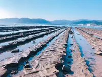 青島神社の写真・動画_image_269245