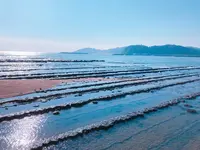 青島神社の写真・動画_image_269246