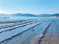 青島神社の写真・動画_image_269247