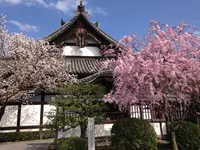 妙法院の写真・動画_image_26925