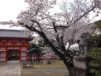 新日吉神宮の写真・動画_image_26928