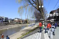 宮川朝市の写真・動画_image_269351