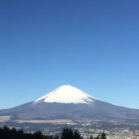 ふじみ茶屋の写真・動画_image_269369