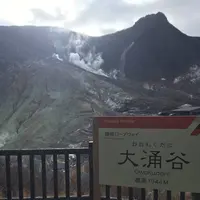 大涌谷の写真・動画_image_269376