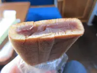 SLやまぐち号（新山口〜津和野）の写真・動画_image_269939