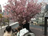 TWO ROOMS Grill Bar （TWO ROOMS グリル | バー）の写真・動画_image_270273