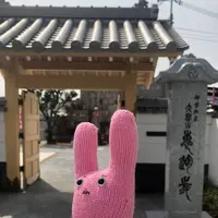 大宝山 恵運寺の写真・動画_image_270437