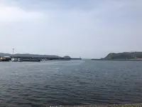 淡島神社の写真・動画_image_270471