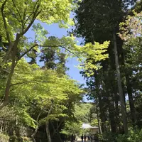 円覚寺の写真・動画_image_270754