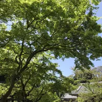 円覚寺の写真・動画_image_270755