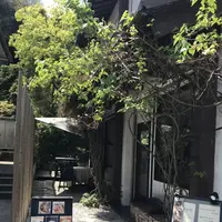 酒肴 こころやの写真・動画_image_270763