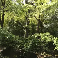 酒肴 こころやの写真・動画_image_270764