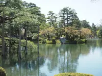 兼六園の写真・動画_image_270902