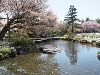 兼六園の写真・動画_image_270905