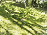 兼六園の写真・動画_image_270908