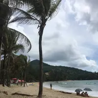 Kamala Beachの写真・動画_image_270951